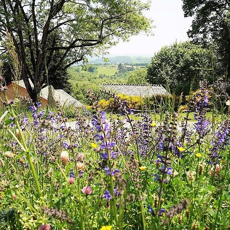 Domaine Des Marequiers Chambre Pimprenelle Saint-Germain-du-Teil Εξωτερικό φωτογραφία
