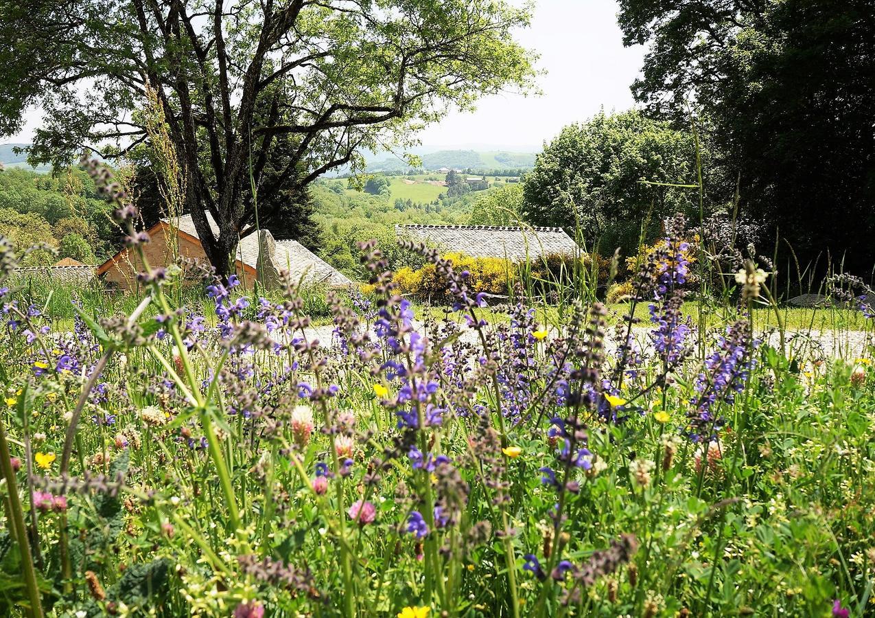 Domaine Des Marequiers Chambre Pimprenelle Saint-Germain-du-Teil Εξωτερικό φωτογραφία