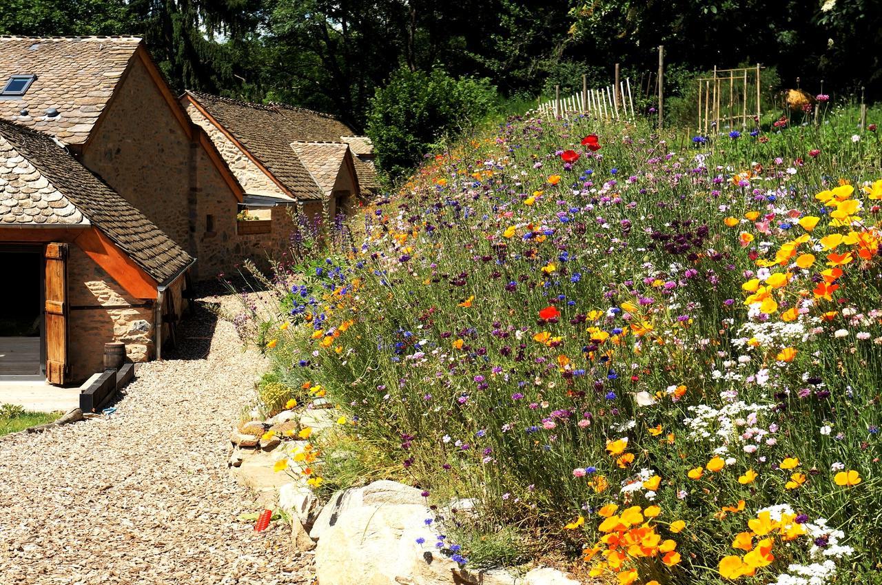 Domaine Des Marequiers Chambre Pimprenelle Saint-Germain-du-Teil Εξωτερικό φωτογραφία